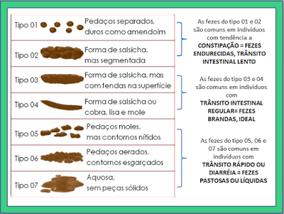 Como identificar os 7 tipos de fezes